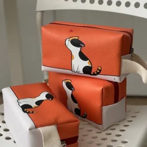 کیف آرایشی گربه سر به هوا