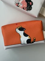 کیف آرایشی گربه سر به هوا